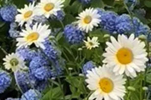 35/0 Heron, Boston, MA 02132 - Photo 21