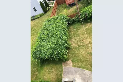 7 Atwood Ave, Norwood, MA 02062 - Photo 39