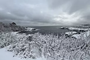 162 Willow Rd, Nahant, MA 01908 - Photo 19