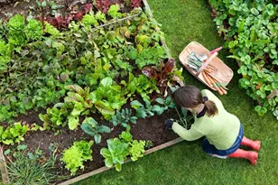 66 Oxbow Rd, Raynham, MA 02767 - Photo 31