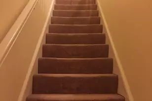 66 St James St, Boston, MA 02119 - Photo 11