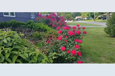 14 Ridgefield Dr, Framingham, MA 01701 - Photo 37