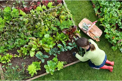 62 Oxbow #1, Raynham, MA 02767 - Photo 11