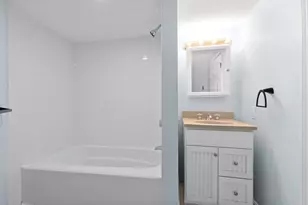 2 Woodbine St, Boston, MA 02119 - Photo 11