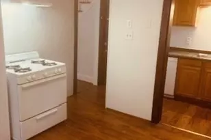 56 Hamilton St, Boston, MA 02136 - Photo 13