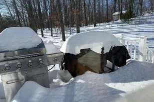 11 Bluegrass Ln, Shrewsbury, MA 01545 - Photo 17