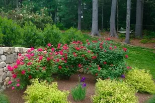 42 Christina Ct, Duxbury, MA 02332 - Photo 27