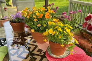 827 Pike Ave, Attleboro, MA 02703 - Photo 23