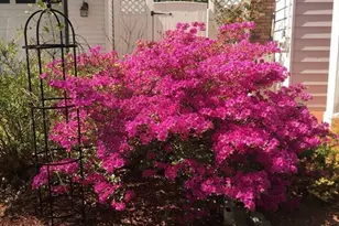 827 Pike Ave, Attleboro, MA 02703 - Photo 19