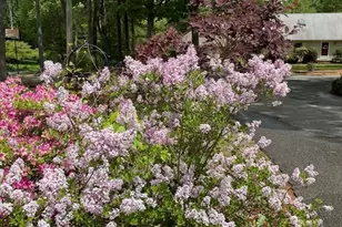 827 Pike Ave, Attleboro, MA 02703 - Photo 17