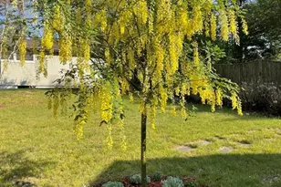 827 Pike Ave, Attleboro, MA 02703 - Photo 27