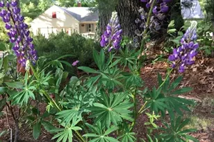 827 Pike Ave, Attleboro, MA 02703 - Photo 9