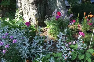 827 Pike Ave, Attleboro, MA 02703 - Photo 11