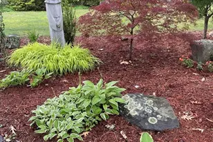 827 Pike Ave, Attleboro, MA 02703 - Photo 27