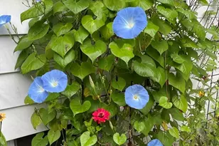 827 Pike Ave, Attleboro, MA 02703 - Photo 29