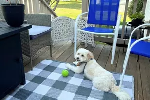 191 Red Oak Terrace, Taunton, MA 02780 - Photo 21