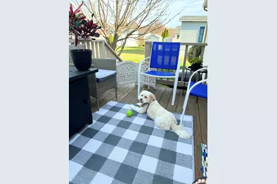 191 Red Oak Terrace, Taunton, MA 02780 - Photo 27