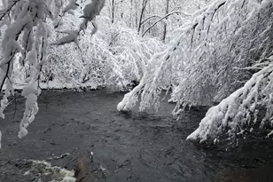 399 Danforth St, Taunton, MA 02780 - Photo 7