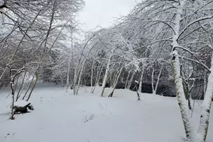 399 Danforth St, Taunton, MA 02780 - Photo 5