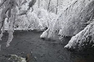 399 Danforth St, Taunton, MA 02780 - Photo 15