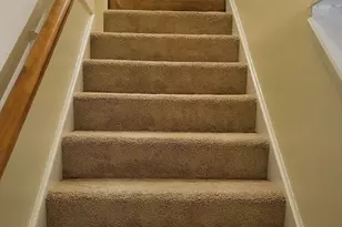 14 Robey St, Boston, MA 02119 - Photo 11