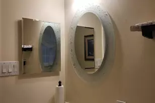 14 Robey St, Boston, MA 02119 - Photo 13