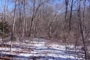 90 Chestnut Hill Rd, Millville, MA 01529 - Photo 1