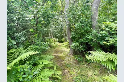 00 Old Field Rd, Chilmark, MA 02535 - Photo 11