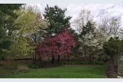 2 Darby Court, Natick, MA 01760 - Photo 31