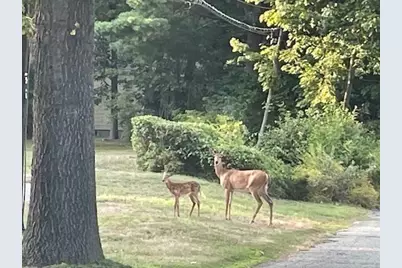 2 Darby Court, Natick, MA 01760 - Photo 37