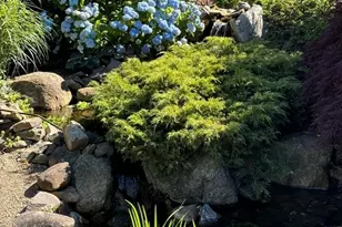 82 Lester Ln, Weymouth, MA 02188 - Photo 5