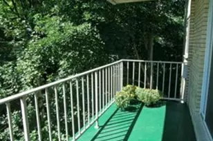 123 Sewall Ave, Brookline, MA 02446 - Photo 11