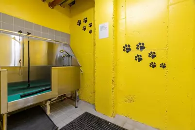 30 Penniman Rd #PH702, Boston, MA 02134 - Photo 39