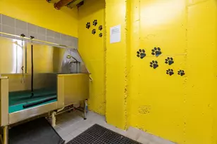 30 Penniman Rd, Boston, MA 02134 - Photo 39