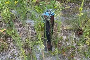 149 Bragg Hill Rd, Westminster, MA 01473 - Photo 9