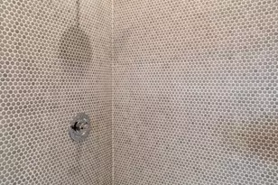 249 Marion St, Boston, MA 02128 - Photo 9