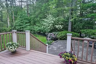 1 Chestnut Ln, Medfield, MA 02052 - Photo 39