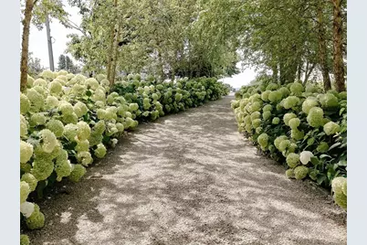 20 Seabury Point Road, Duxbury, MA 02332 - Photo 9