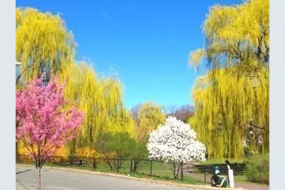 100 Marion Street #18, Brookline, MA 02446 - Photo 15