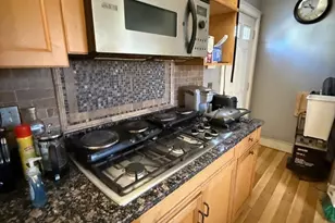 12 Forest St, Boston, MA 02119 - Photo 7