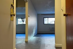 15 Wallbridge St, Boston, MA 02134 - Photo 9