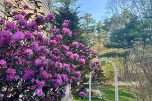 12 Campmeeting Rd, Topsfield, MA 01983 - Photo 31