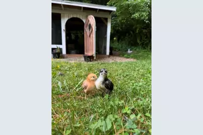 12 Campmeeting Rd, Topsfield, MA 01983 - Photo 29