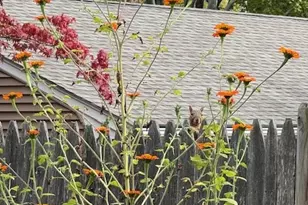 55 E Main St, Milford, MA 01757 - Photo 25