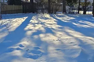 94 Wilton St, Springfield, MA 01109 - Photo 9