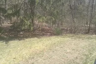 65 Station St, Stoughton, MA 02072 - Photo 13