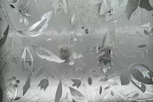 34 Wentworth, Boston, MA 02124 - Photo 5