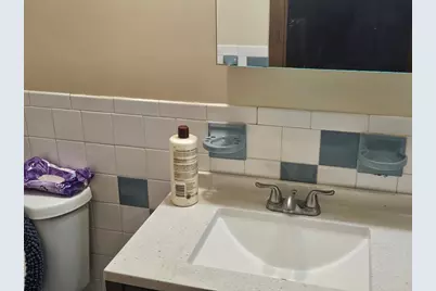 33 Hemlock Ter, Randolph, MA 02368 - Photo 23