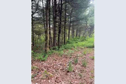 62-91 Lawrence Street, Palmer, MA 01069 - Photo 5