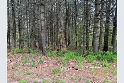 62-91 Lawrence Street, Palmer, MA 01069 - Photo 3